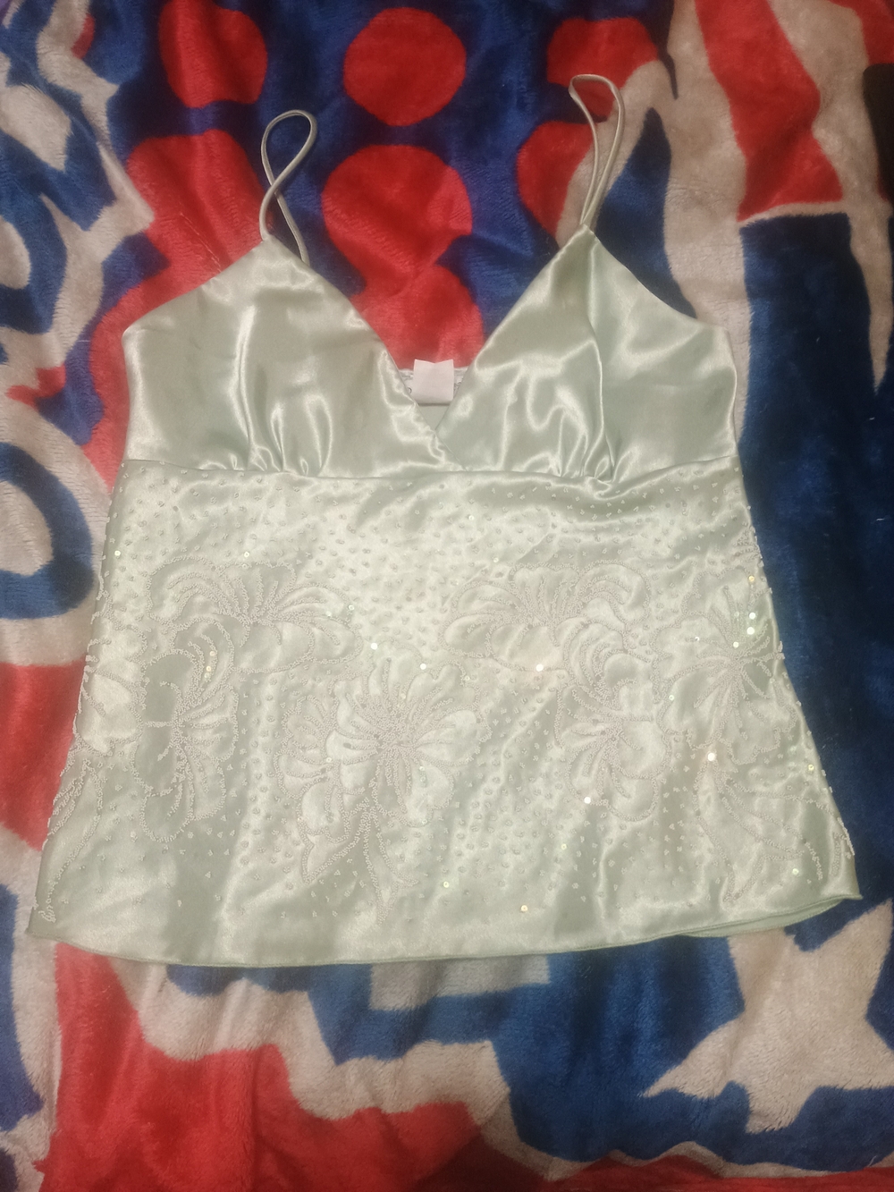 Body Central Mint Satin Embroidered Camisole